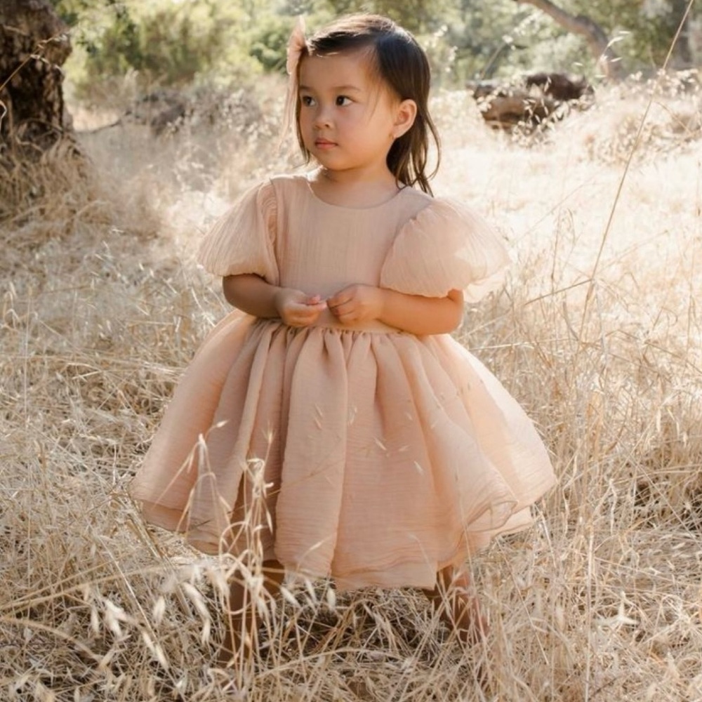 Noralee Sofia Dress